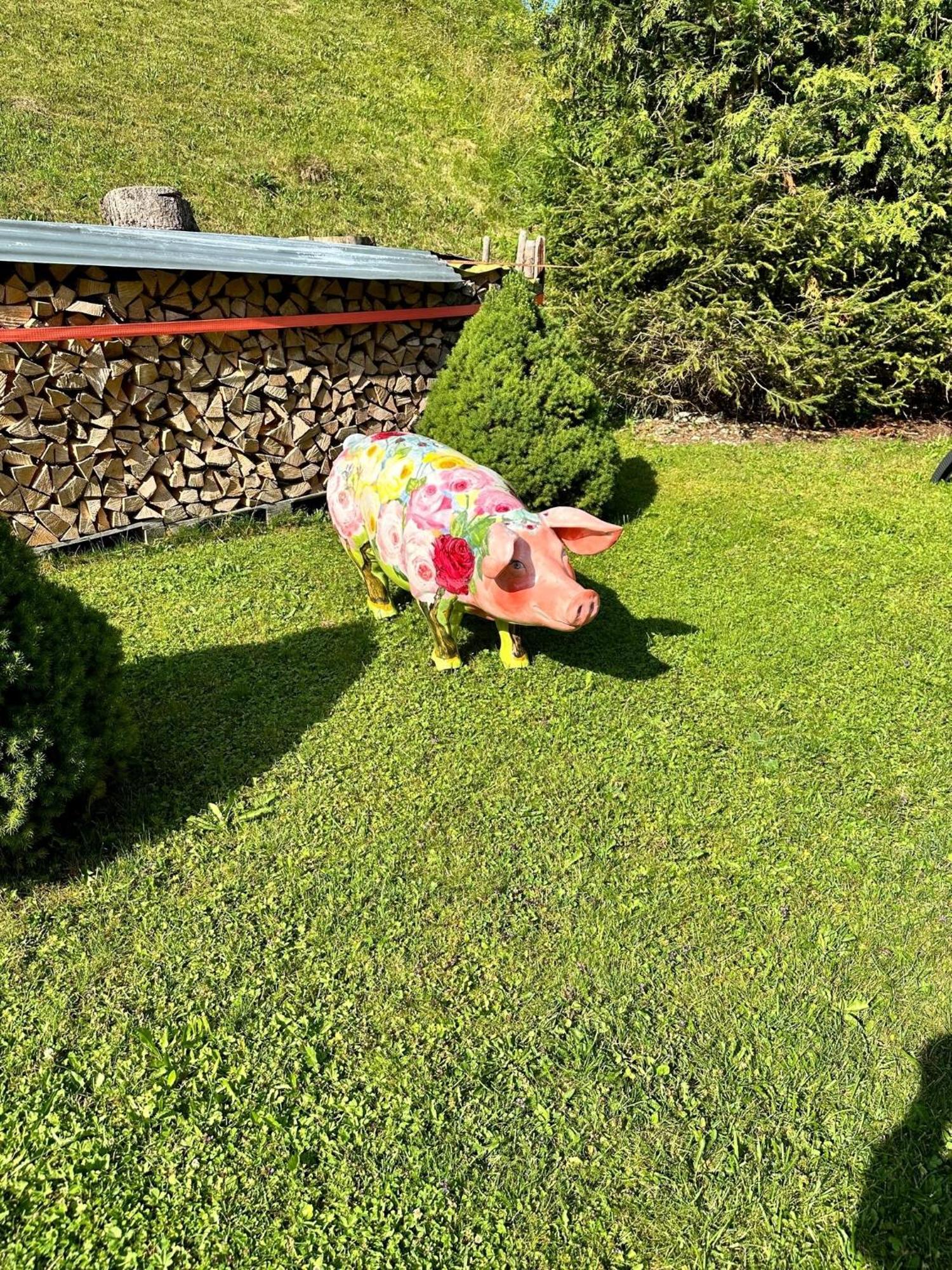 Apartmán W4 Haus Ganghofer Leutasch Exteriér fotografie